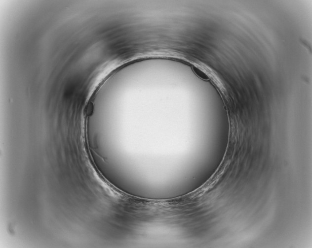 X0000094451006200711081043