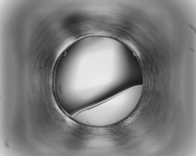 X0000094451007200711081043