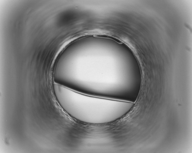 X0000094451008200711081043