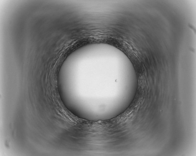 X0000094451009200711081042
