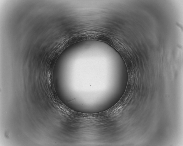 X0000094451010200711081042