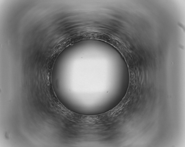 X0000094451013200711081042