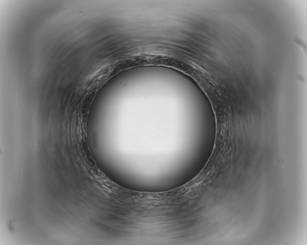 X0000094451014200711081042