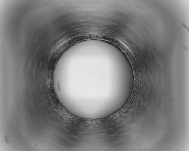 X0000094451015200711081042