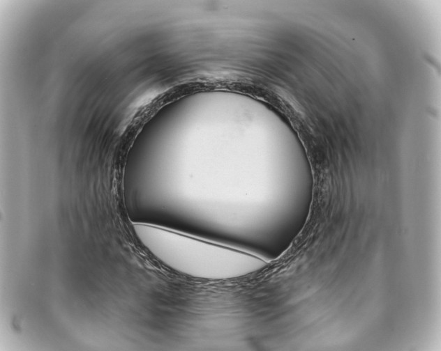 X0000094451016200711081042