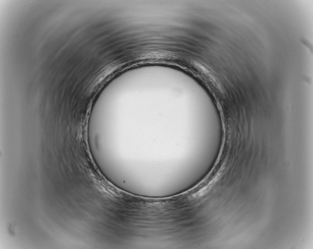 X0000094451017200711081042
