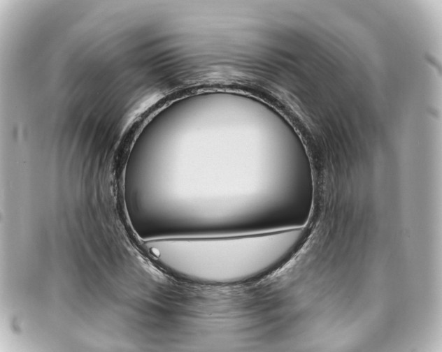 X0000094451018200711081042