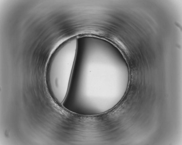 X0000094451020200711081042