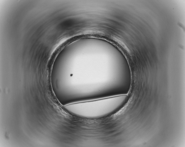 X0000094451021200711081042