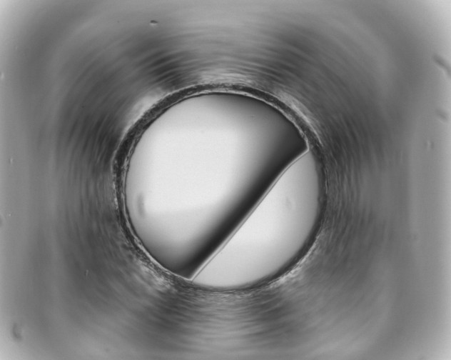 X0000094451022200711081042