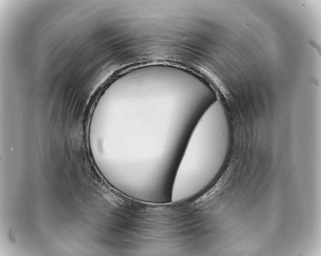 X0000094451023200711081042