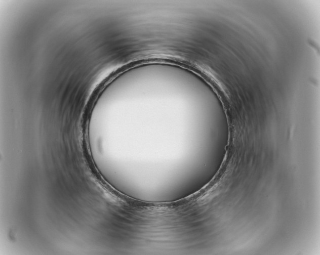 X0000094451024200711081042