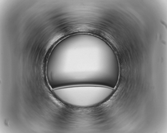 X0000094451026200711081042