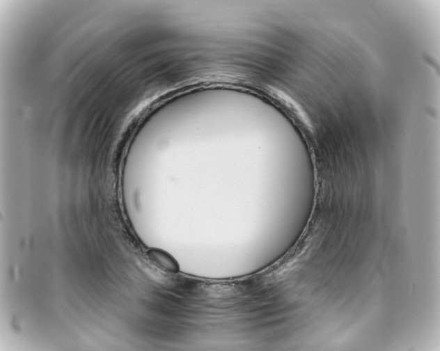 X0000094451027200711081042