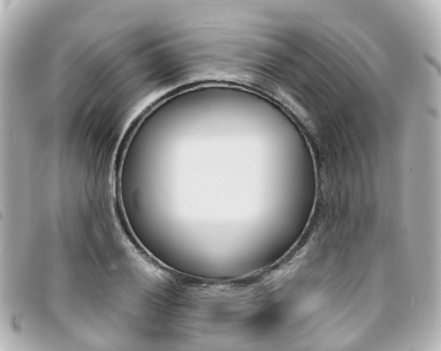 X0000094451028200711081042