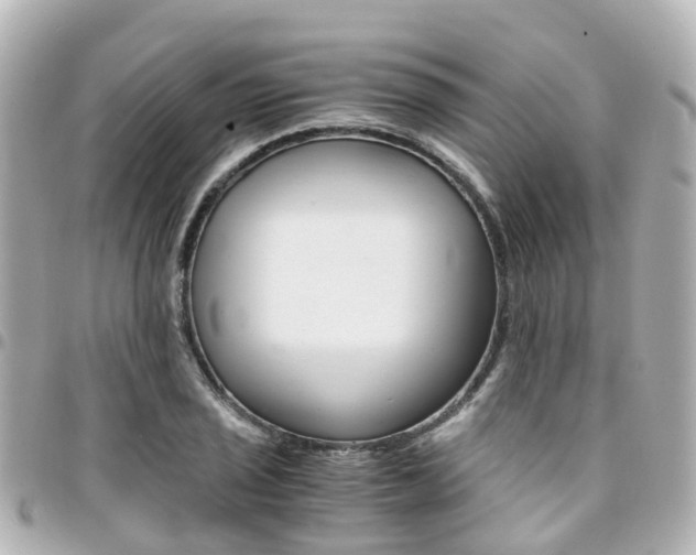 X0000094451029200711081042