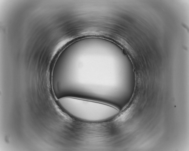 X0000094451030200711081043