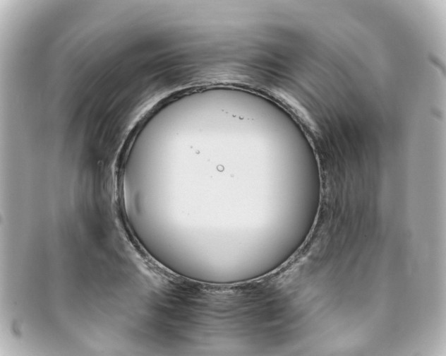 X0000094451031200711081043
