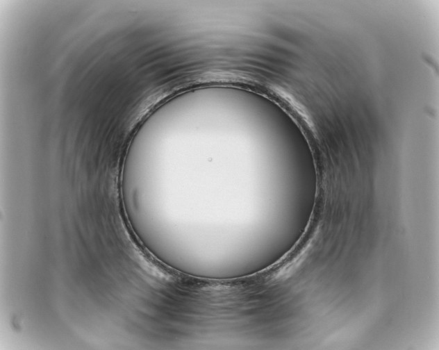 X0000094451033200711081043