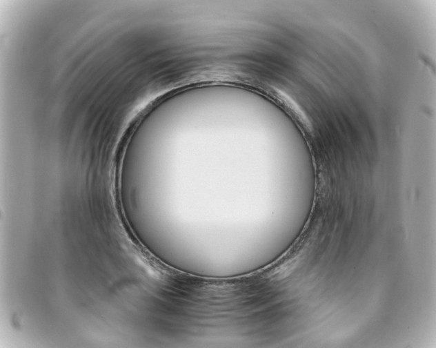 X0000094451035200711081043