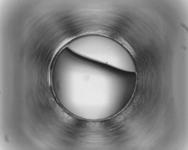 X0000094451036200711081043