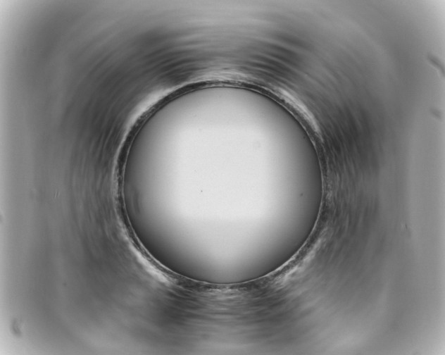X0000094451037200711081043