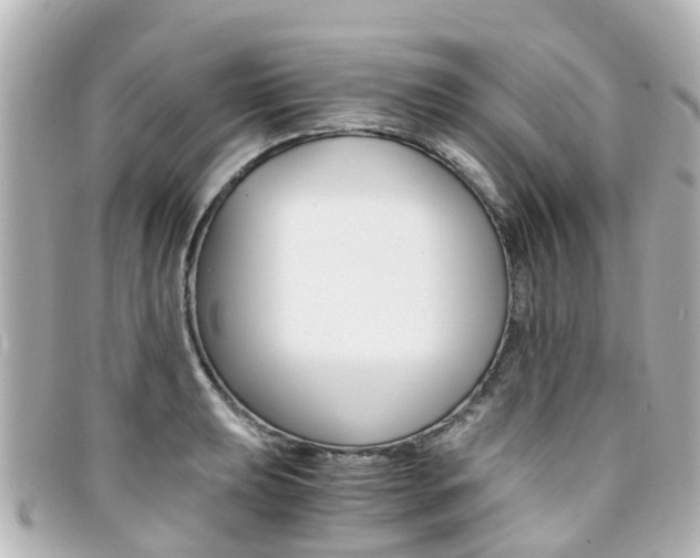 X0000094451039200711081043