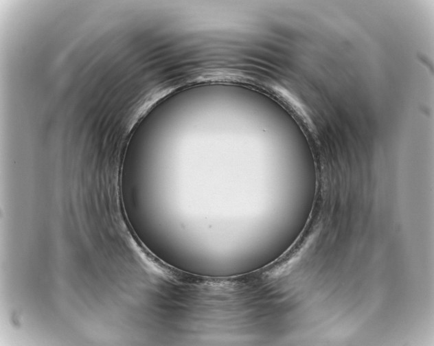 X0000094451041200711081043