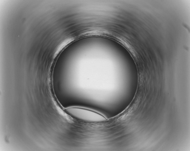 X0000094451042200711081043