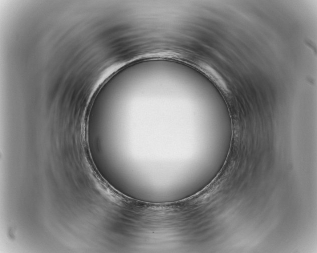 X0000094451044200711081043