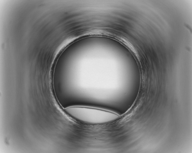 X0000094451045200711081043