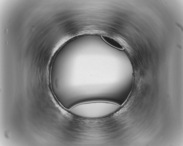 X0000094451046200711081043