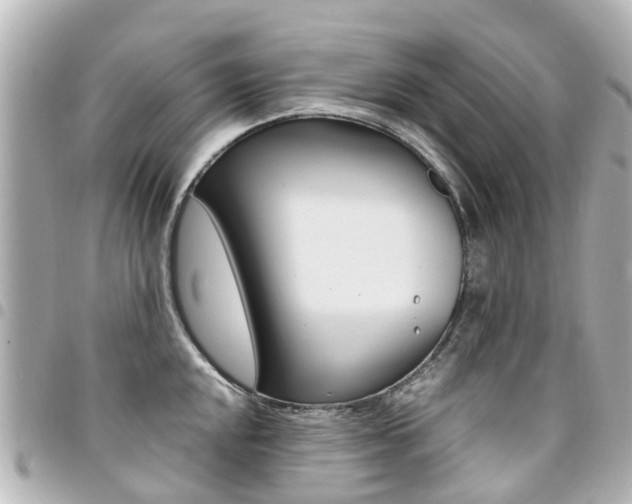 X0000094451048200711081043