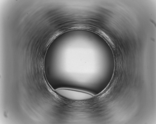 X0000094451049200711081043