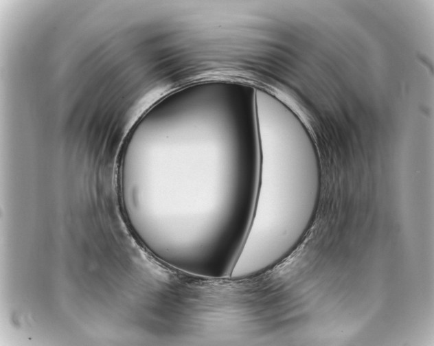 X0000094451050200711081043