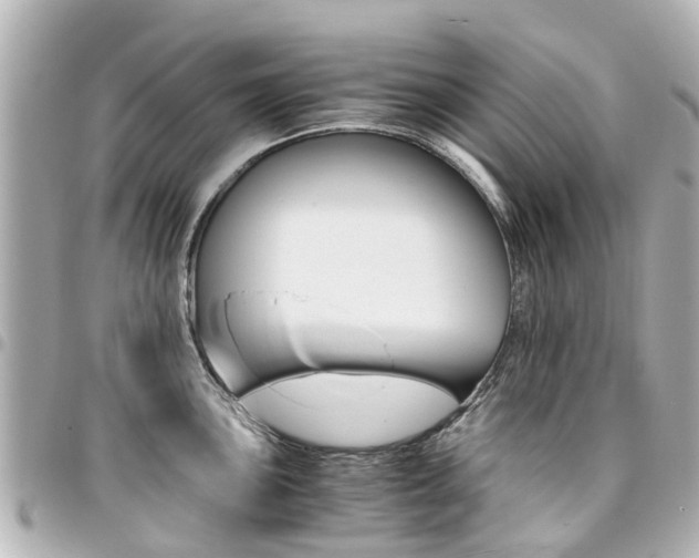 X0000094451051200711081043