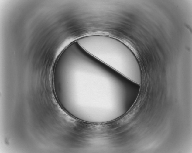 X0000094451054200711081043