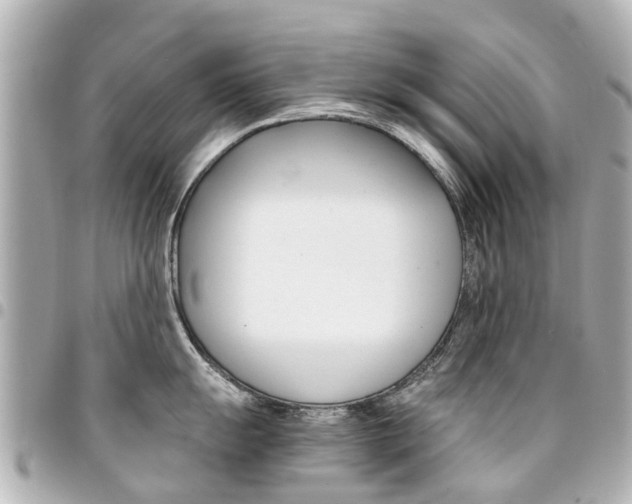 X0000094451055200711081043
