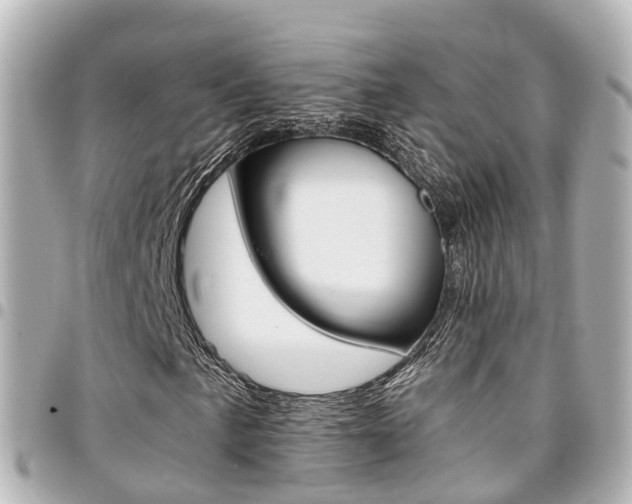 X0000094451057200711081042