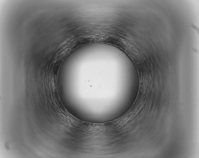 X0000094451058200711081042
