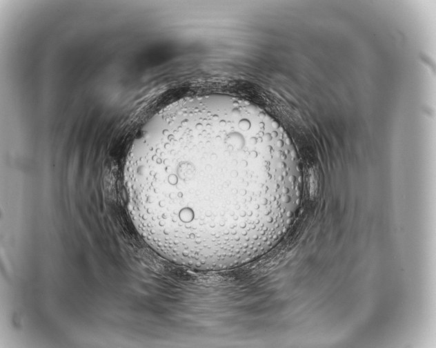 X0000094451059200711081042