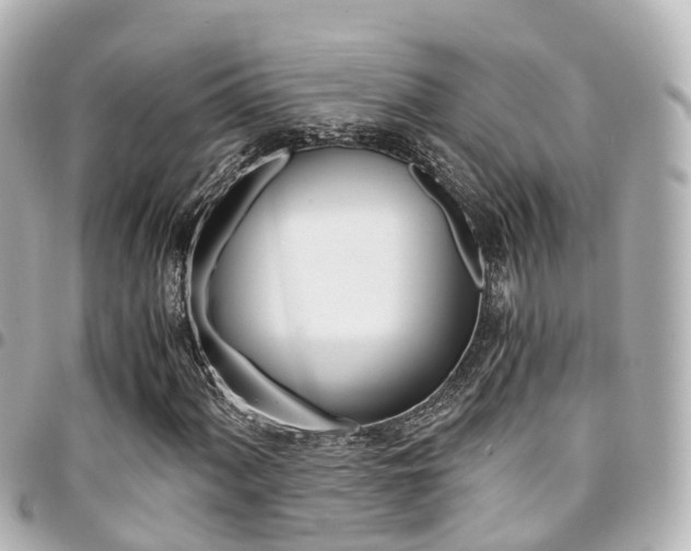 X0000094451060200711081042