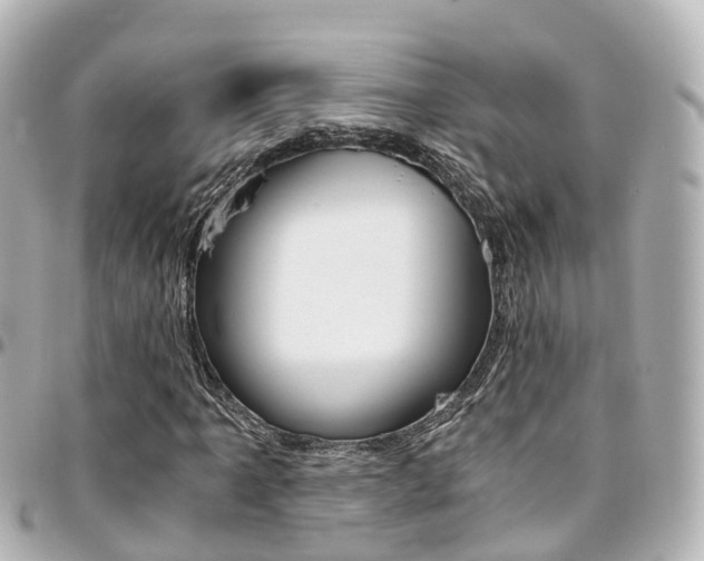 X0000094451061200711081042