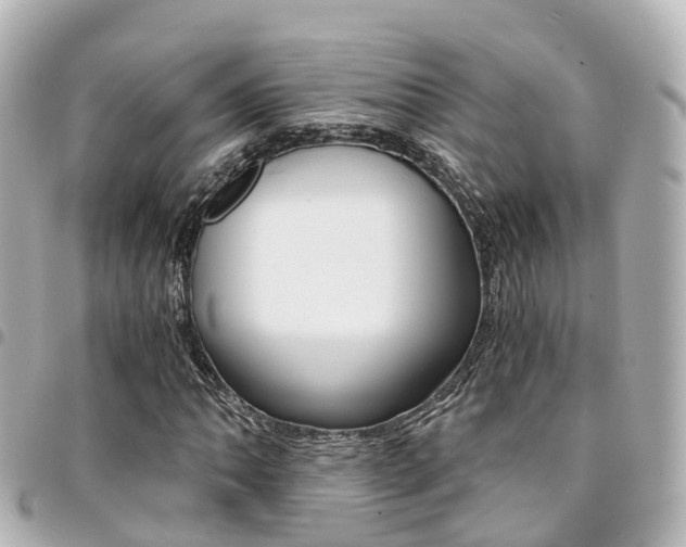 X0000094451062200711081042
