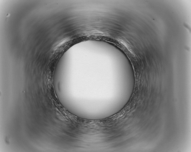 X0000094451063200711081042
