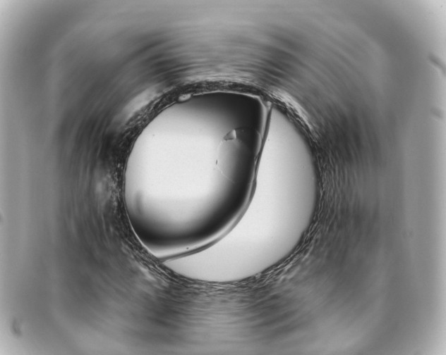 X0000094451064200711081042