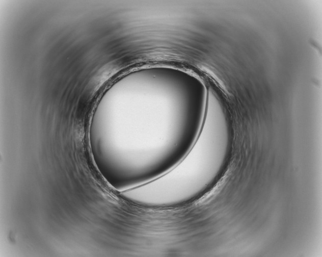 X0000094451065200711081042