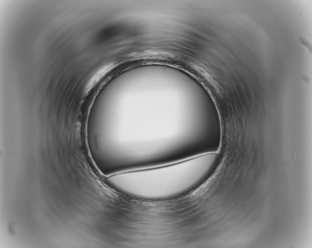 X0000094451066200711081042