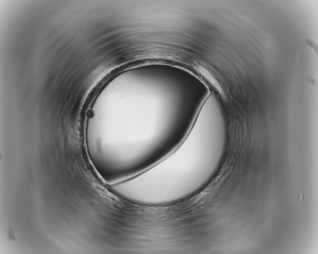 X0000094451068200711081042