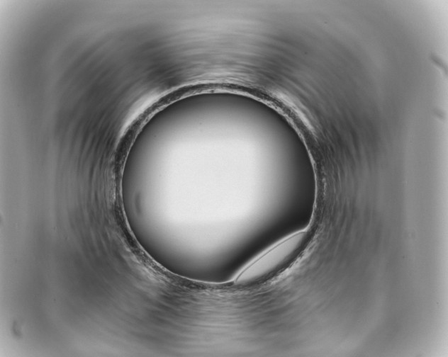 X0000094451069200711081042